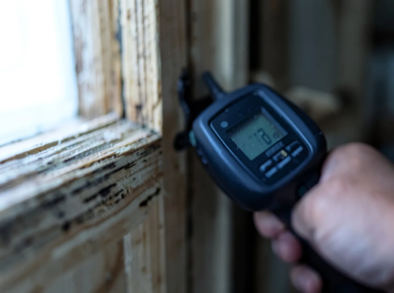 Moisture Inspection And Documentation in Bamberg, SC